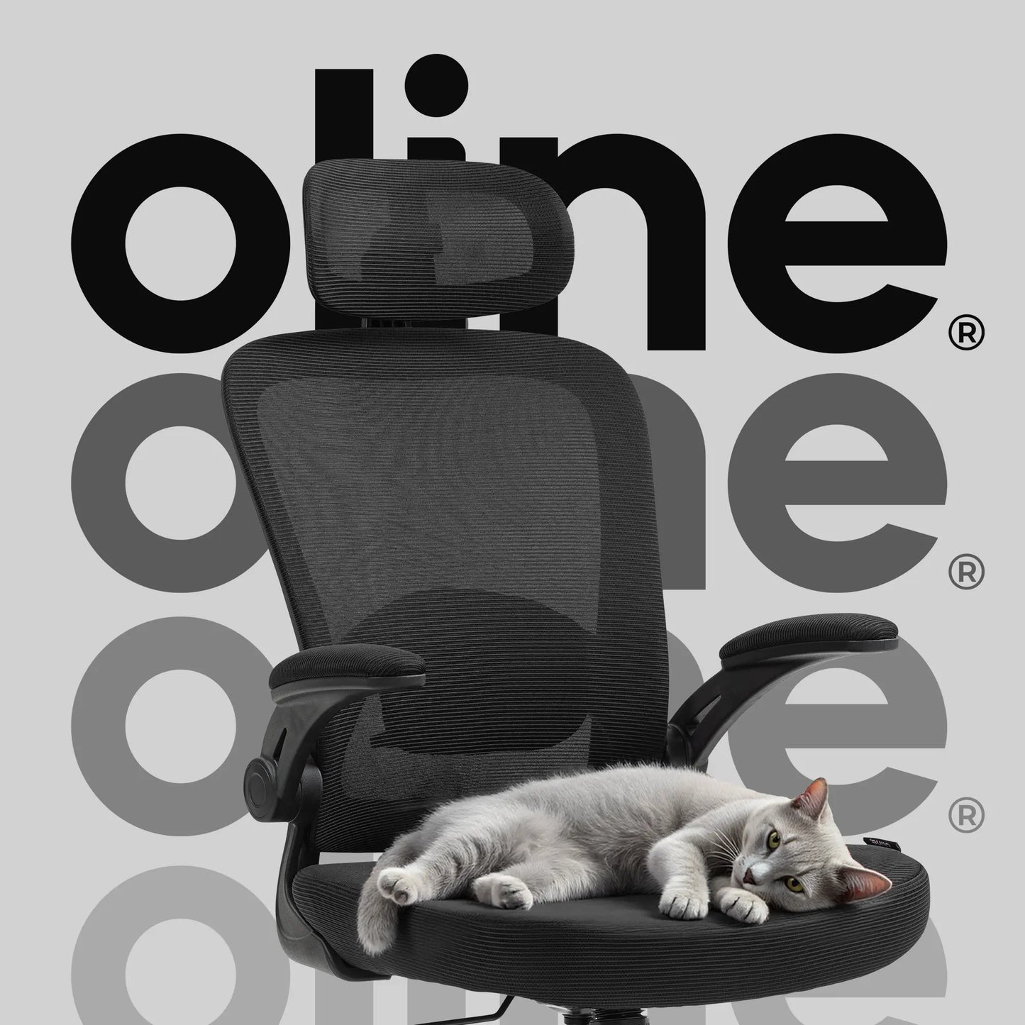 Ergonomic Mesh Office Chair – Adjustable Lumbar Support, Headrest & Flip-Up Armrests for Home Offices & Desk Setups