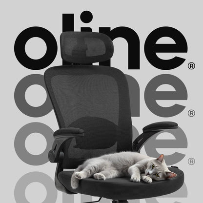 Ergonomic Mesh Office Chair – Adjustable Lumbar Support, Headrest & Flip-Up Armrests for Home Offices & Desk Setups